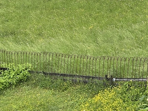 Hochwertiger Steckzaun  Ascona  zu verkaufen   ca. 65 Laufmeter inkl. 2 Türen Bild 3