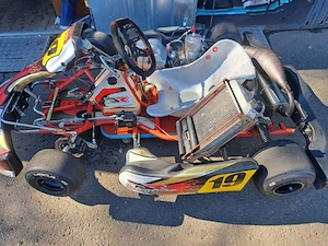 DR Racing Kart 125ccm Bild 5