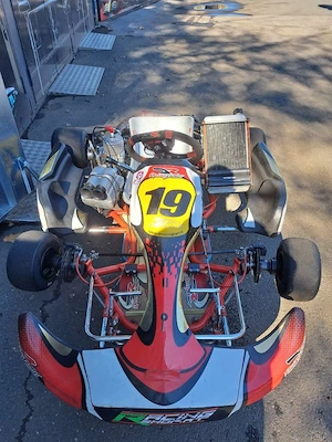 DR Racing Kart 125ccm Bild 7
