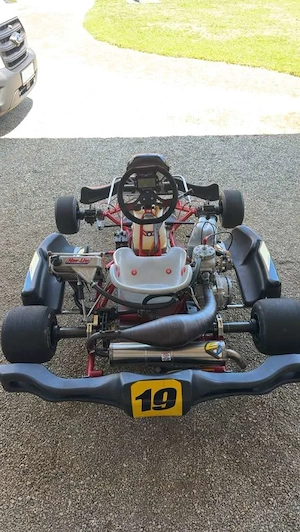 DR Racing Kart 125ccm Bild 3