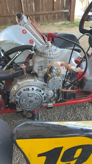 DR Racing Kart 125ccm Bild 8