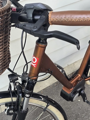 E-bike für Damen und Herren  Bild 4