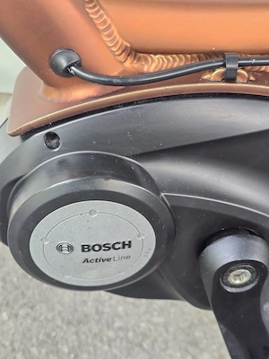 E-bike für Damen und Herren  Bild 3