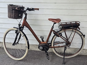 E-bike für Damen und Herren  Bild 2