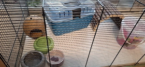 Kleintierkäfig  Bild 2