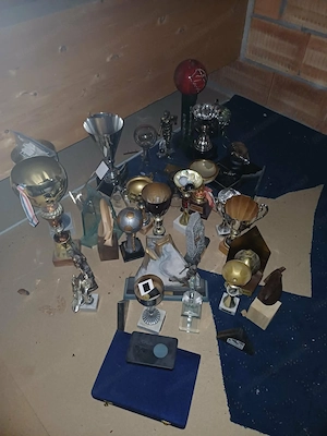 Pokale gegen freiwillige Spende abzugeben Bild 2