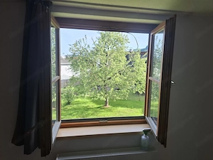 2 Zimmerwohnung in Dornbirn Hatlerdorf zu vermieten Bild 12