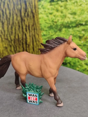 Tonies Figuren Set 3 Mal was ist was und das kleine böse Buch Bild 7
