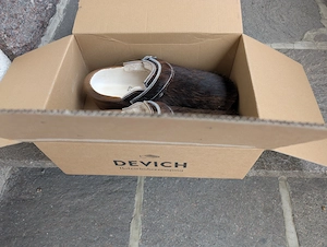 Holzschuh - Devich Bild 3