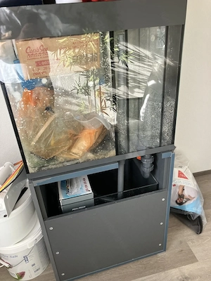 großes Aquarium zu verschenken