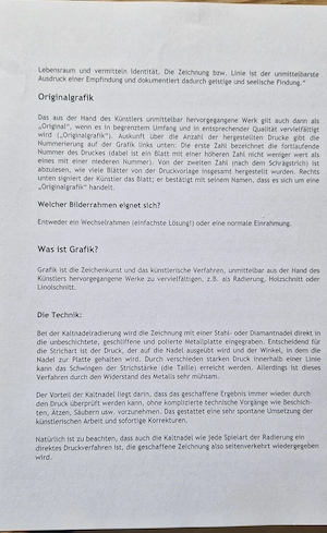 Peter Friedrich Kohlhaupt "Marktplatz Dornbirn" Bild 3