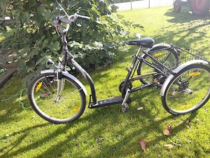 Dreirad  für Erwachsene Bild 2
