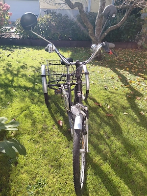 Dreirad  für Erwachsene Bild 3