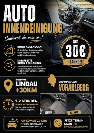 Auto-Innenreinigung