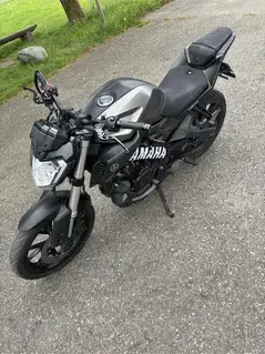 Yamaha MT-125 (2014)  Bild 5