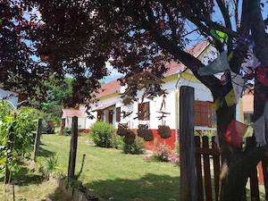 Auszeit in Ungarn   1 Monat Ferienwohnung im ruhigen Dorf nahe Zalakaros (Thermalbad) Bild 3