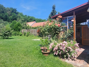 Auszeit in Ungarn   1 Monat Ferienwohnung im ruhigen Dorf nahe Zalakaros (Thermalbad) Bild 5