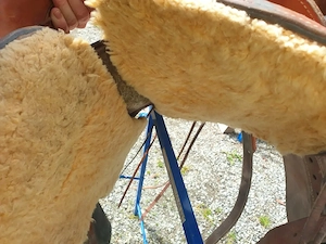 Westernsattel zu verkaufen  Bild 9