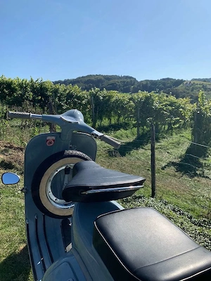 Vespa 150 VBB2 150 Bild 9