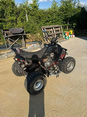Yamaha YFM Yamaha YFM 350 Raptor Quad Bild 4