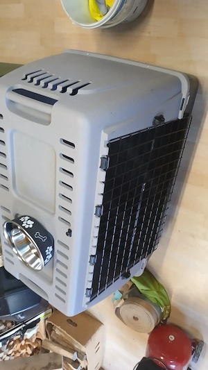 Hundebox mit 2 Fressnapf Bild 5