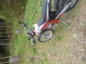 Beta-Alp 4T 200cm Bild 2