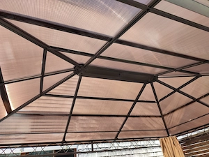 Gartenpavillon mit Hardtop Bild 4