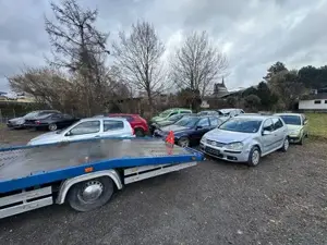 Export - Bmw - Vw - Audi Bild 2