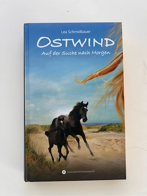Ostwind Jugendbücher Bild 3
