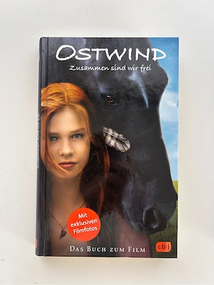 Ostwind Jugendbücher Bild 2