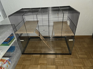 Hamsterkäfig zu Verkaufen um 80 Euro  mit zubehör  Bild 4