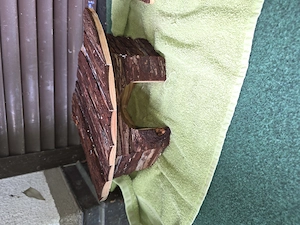 Hamsterkäfig zu Verkaufen um 80 Euro  mit zubehör  Bild 2