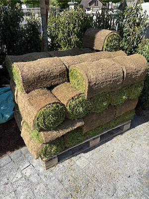 rollrasen 