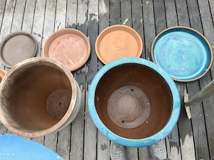 3 winterharte Steintöpfe  Bild 4