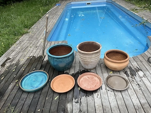 3 winterharte Steintöpfe 