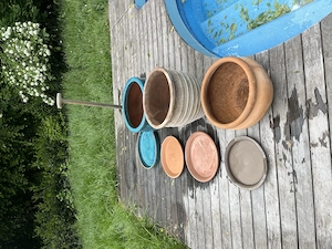 3 winterharte Steintöpfe  Bild 2