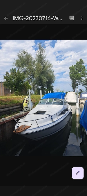 Sea Ray mit Motorschaden zu verkaufen  Bild 5