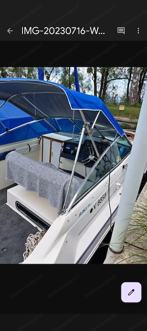 Sea Ray mit Motorschaden zu verkaufen  Bild 4