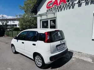 Fiat Panda Bild 2