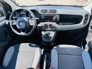 Fiat Panda Bild 6