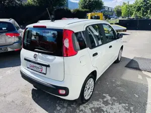 Fiat Panda Bild 3