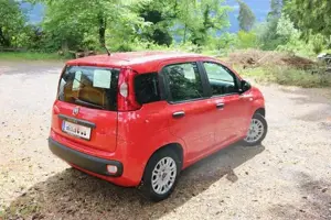Fiat Panda Bild 4