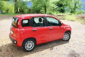 Fiat Panda Bild 3
