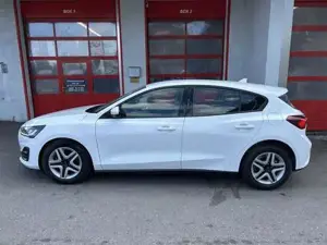 Ford Focus Bild 7