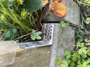 Tomatenhäuschen zu verkaufen Bild 3
