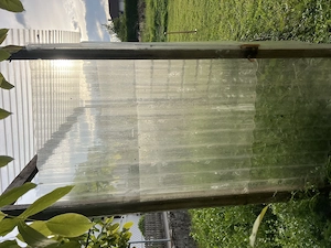 Tomatenhäuschen zu verkaufen Bild 4