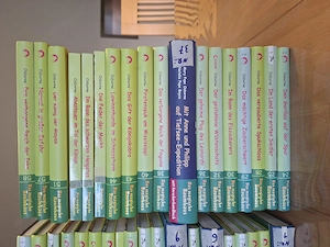 37 Bände vom "Das magische Baumhaus" Bild 2
