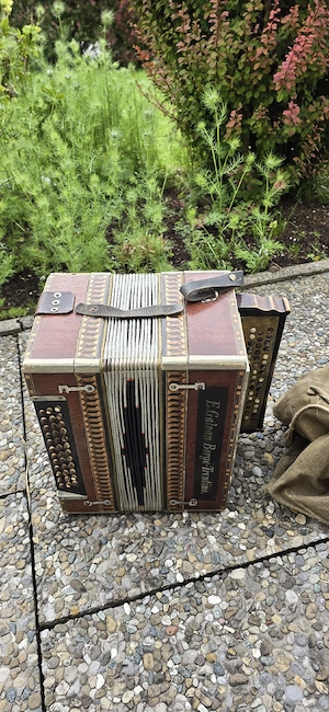 Ziehharmonika  Bild 2