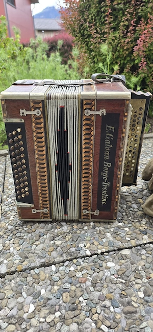 Ziehharmonika 