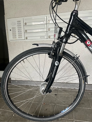 Pegasus Premio Fahrrad Bild 2